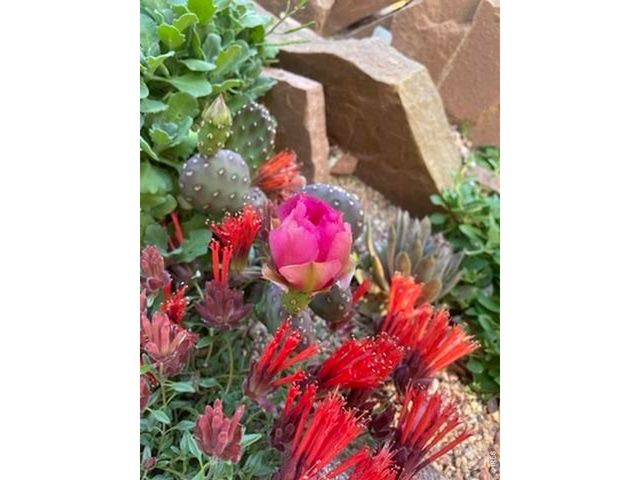 1111 Utica Cir, Boulder, CO 80304