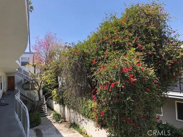 1423 15th Street 5, Santa Monica, CA 90404