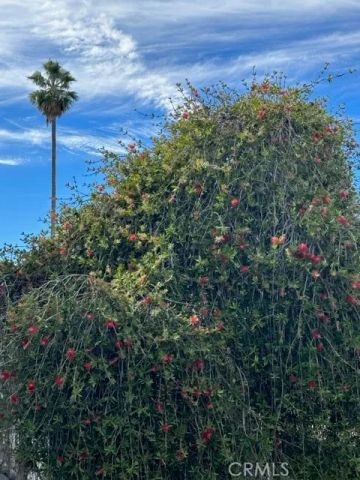 1423 15th Street 5, Santa Monica, CA 90404