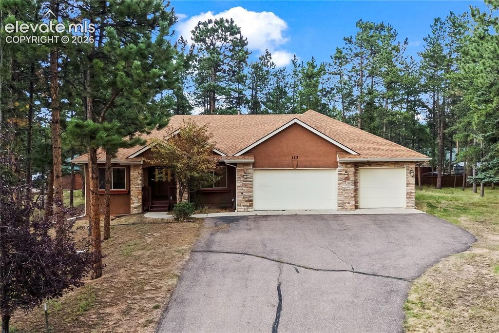 113 Flagstick Drive, Woodland Park, CO 80863 — exterior