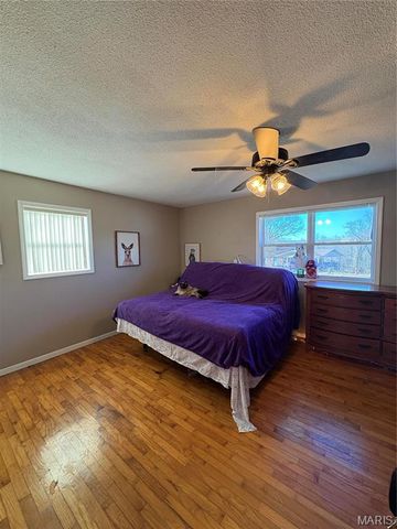 4 Conway, Viburnum, MO 65566