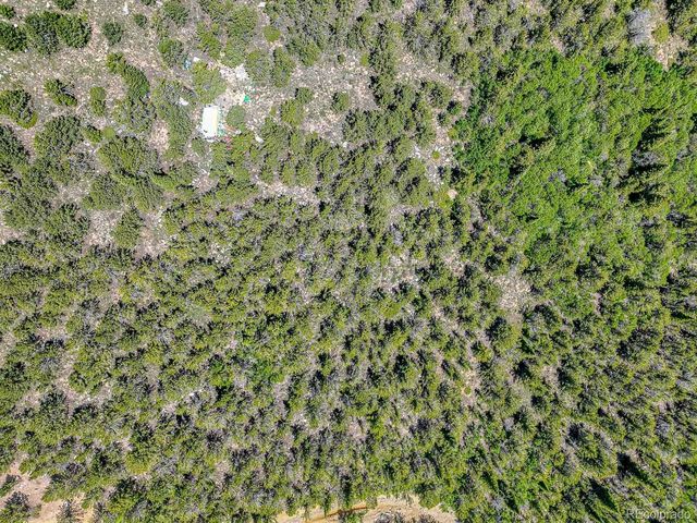 111 Moldavia Claim, Black Hawk, CO 80427