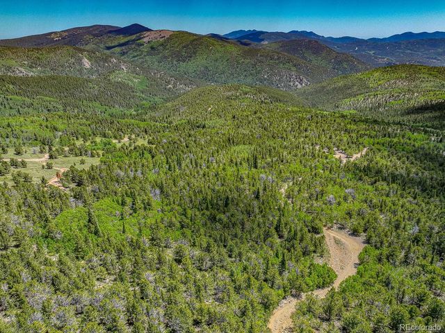 111 Moldavia Claim, Black Hawk, CO 80427