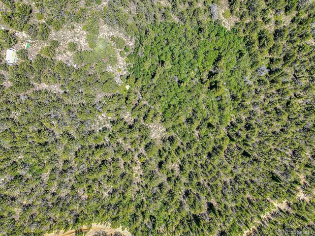 111 Moldavia Claim, Black Hawk, CO 80427