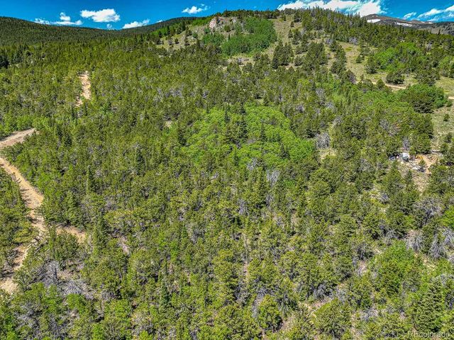 111 Moldavia Claim, Black Hawk, CO 80427