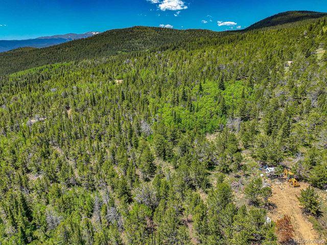 111 Moldavia Claim, Black Hawk, CO 80427