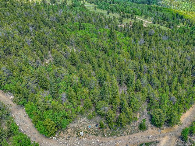 111 Moldavia Claim, Black Hawk, CO 80427