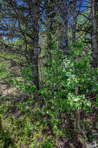 111 Moldavia Claim, Black Hawk, CO 80427