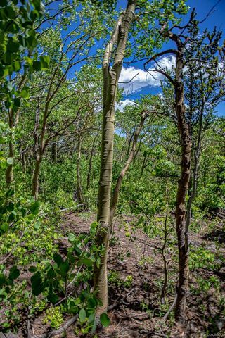 111 Moldavia Claim, Black Hawk, CO 80427