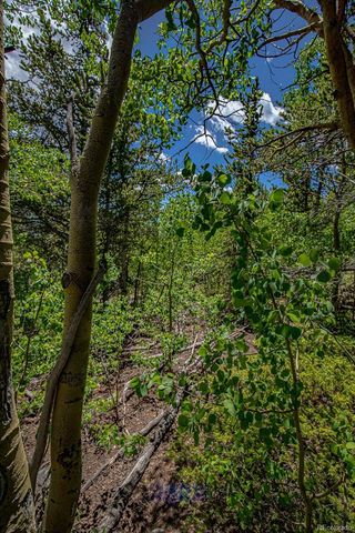 111 Moldavia Claim, Black Hawk, CO 80427