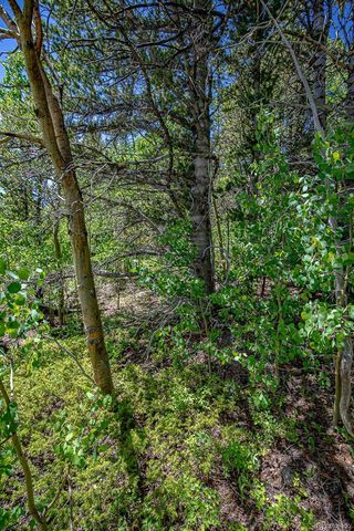 111 Moldavia Claim, Black Hawk, CO 80427