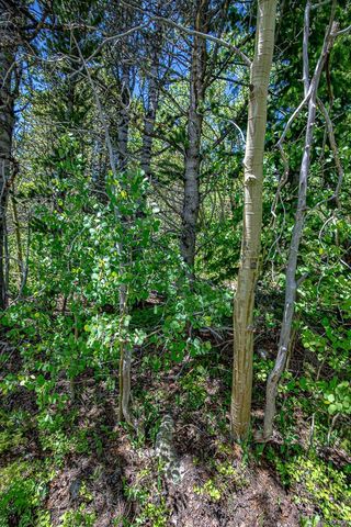 111 Moldavia Claim, Black Hawk, CO 80427