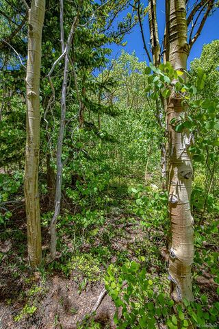 111 Moldavia Claim, Black Hawk, CO 80427