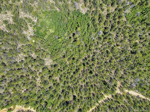 111 Moldavia Claim, Black Hawk, CO 80427