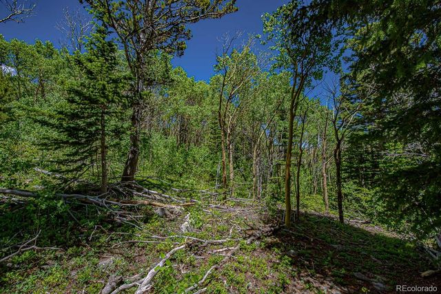 111 Moldavia Claim, Black Hawk, CO 80427