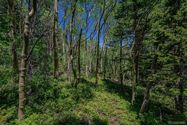 111 Moldavia Claim, Black Hawk, CO 80427