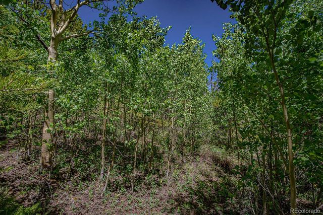 111 Moldavia Claim, Black Hawk, CO 80427