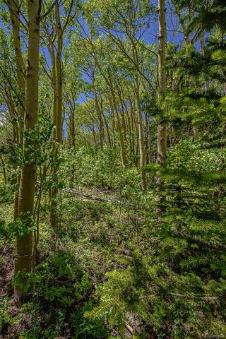 111 Moldavia Claim, Black Hawk, CO 80427