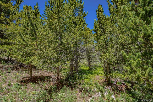 111 Moldavia Claim, Black Hawk, CO 80427