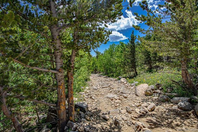 111 Moldavia Claim, Black Hawk, CO 80427