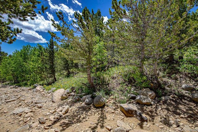 111 Moldavia Claim, Black Hawk, CO 80427