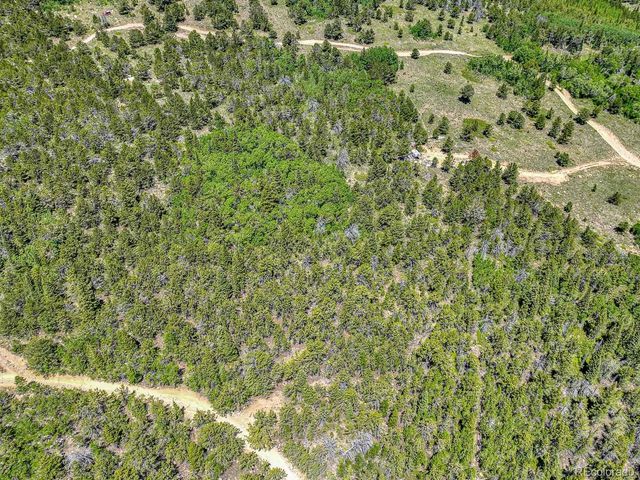 111 Moldavia Claim, Black Hawk, CO 80427