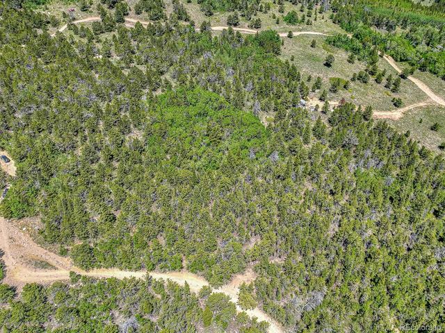 111 Moldavia Claim, Black Hawk, CO 80427