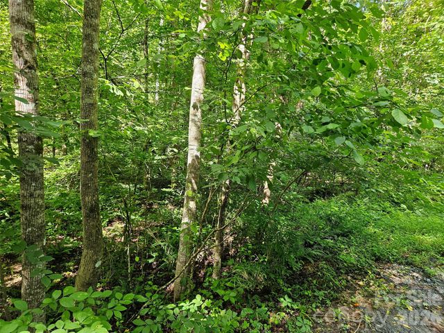 0 Sandpiper Avenue 163, Lake Lure, NC 28746