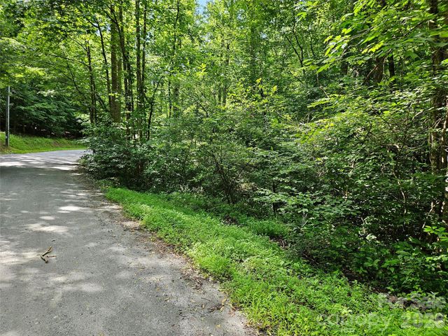 0 Sandpiper Avenue 163, Lake Lure, NC 28746