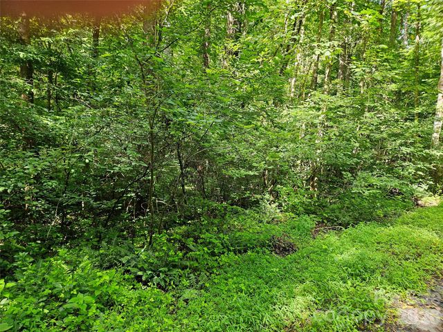 0 Sandpiper Avenue 163, Lake Lure, NC 28746