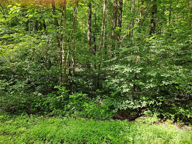 0 Sandpiper Avenue 163, Lake Lure, NC 28746