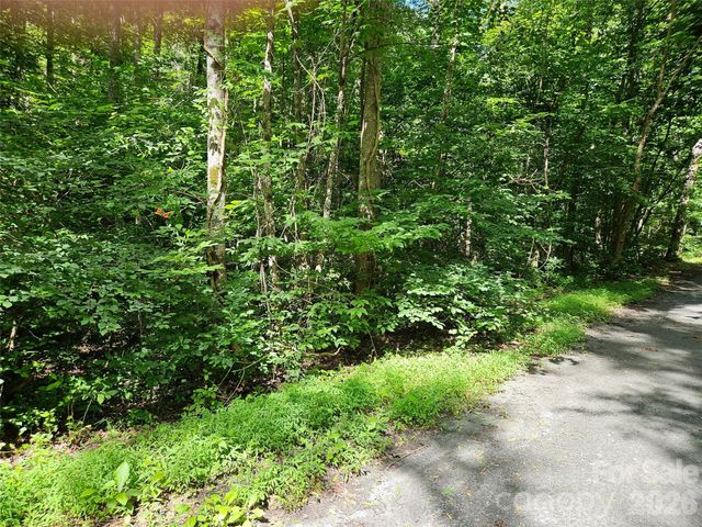 0 Sandpiper Avenue 163, Lake Lure, NC 28746