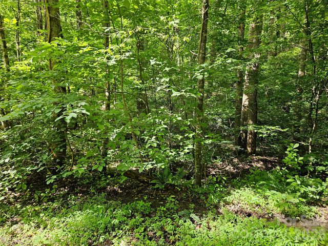 0 Sandpiper Avenue 163, Lake Lure, NC 28746