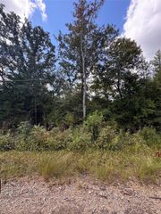 TBD-2 Cottonwood Lane, Murchison, TX 75778