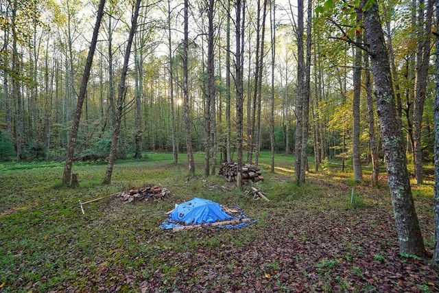 1841 Old Bucktown Road, Ellijay, GA 30536