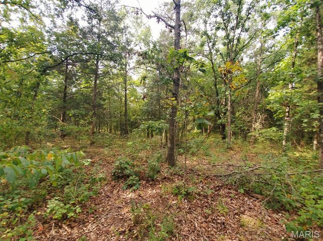 28148 Commanche Trail, Canton, MO 63435