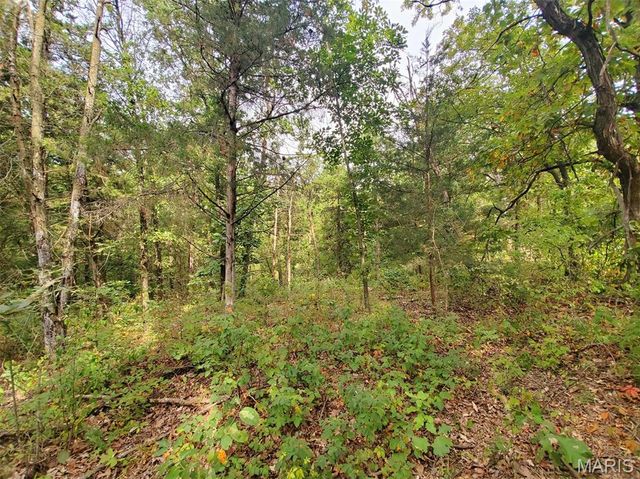 28148 Commanche Trail, Canton, MO 63435