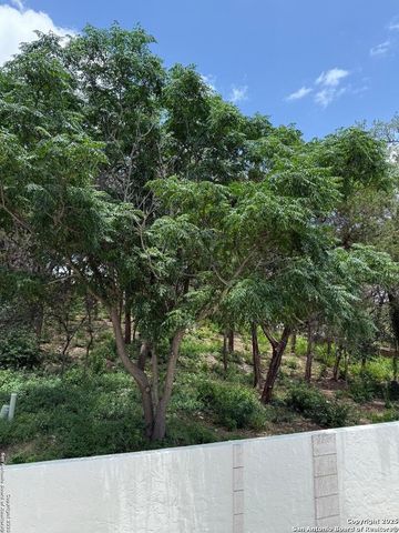 3 Benchwood Circle, San Antonio, TX 78248