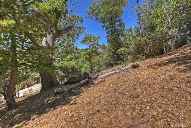 27588 Matterhorn Drive, Lake Arrowhead, CA 92352