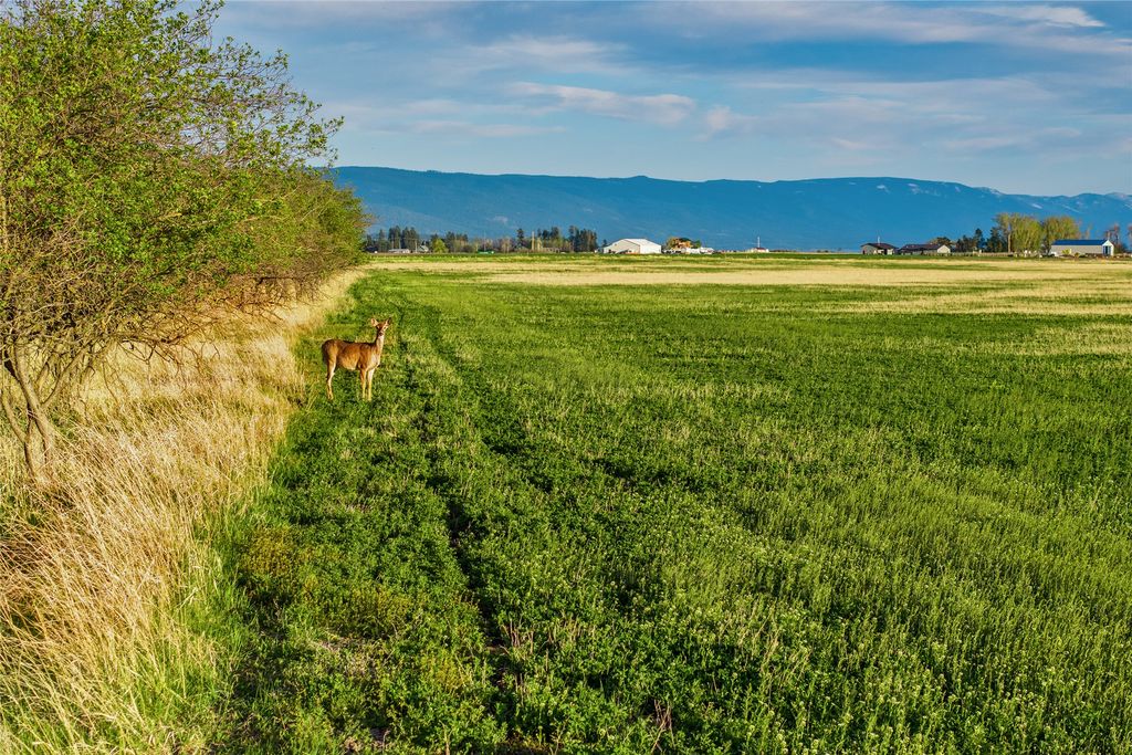465 Farm Road, Kalispell, MT 59901 photo 13