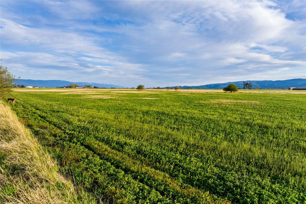 465 Farm Road, Kalispell, MT 59901 photo 55