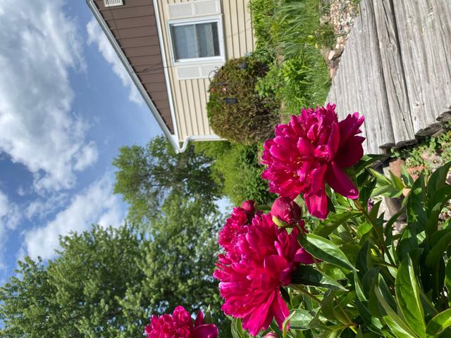 3004 Bellaire Avenue, Maplewood, MN 55109