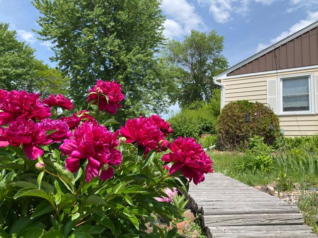 3004 Bellaire Avenue, Maplewood, MN 55109