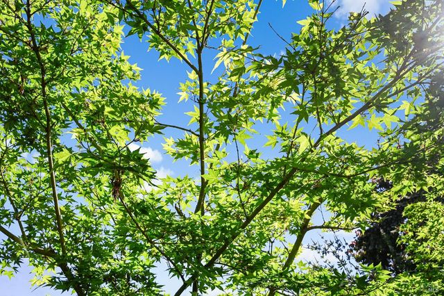 855 Garden Ct, Petaluma, CA 94954