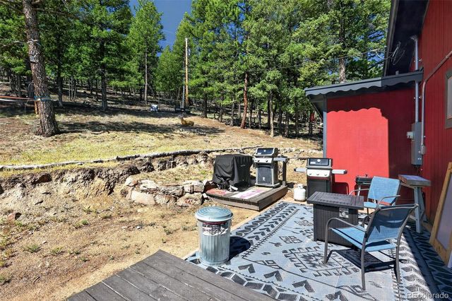 1089 Burland Drive, Bailey, CO 80421