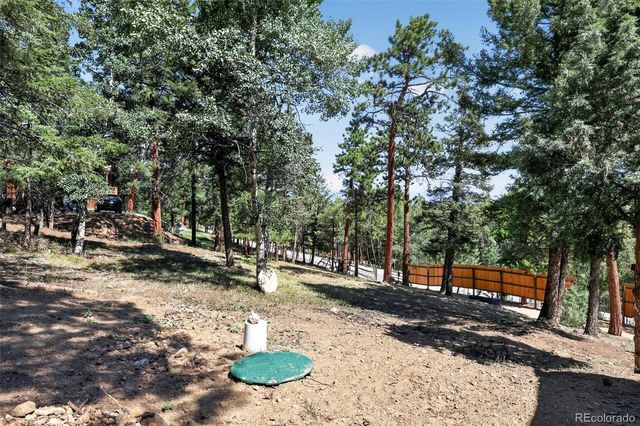 1089 Burland Drive, Bailey, CO 80421