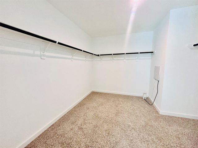 1119 Fringed Bluestar Drive, Rosharon, TX 77583