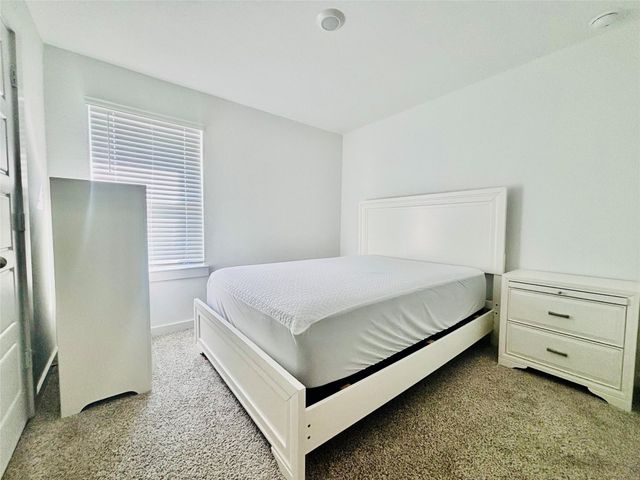 1119 Fringed Bluestar Drive, Rosharon, TX 77583