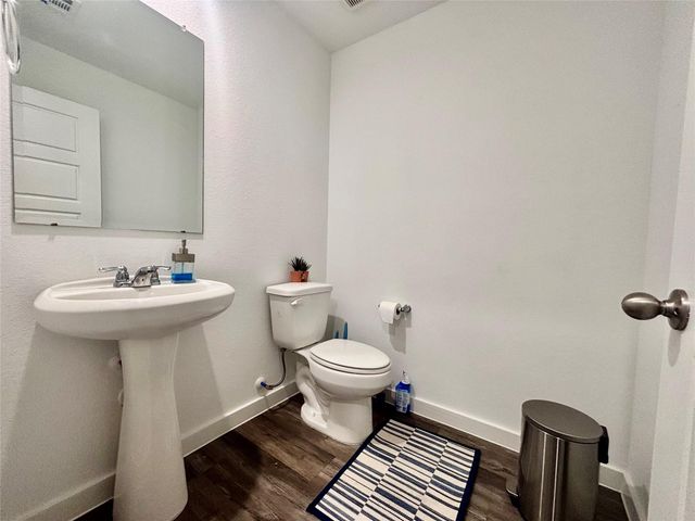 1119 Fringed Bluestar Drive, Rosharon, TX 77583