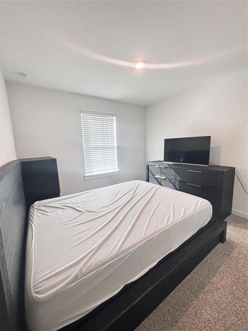 1119 Fringed Bluestar Drive, Rosharon, TX 77583